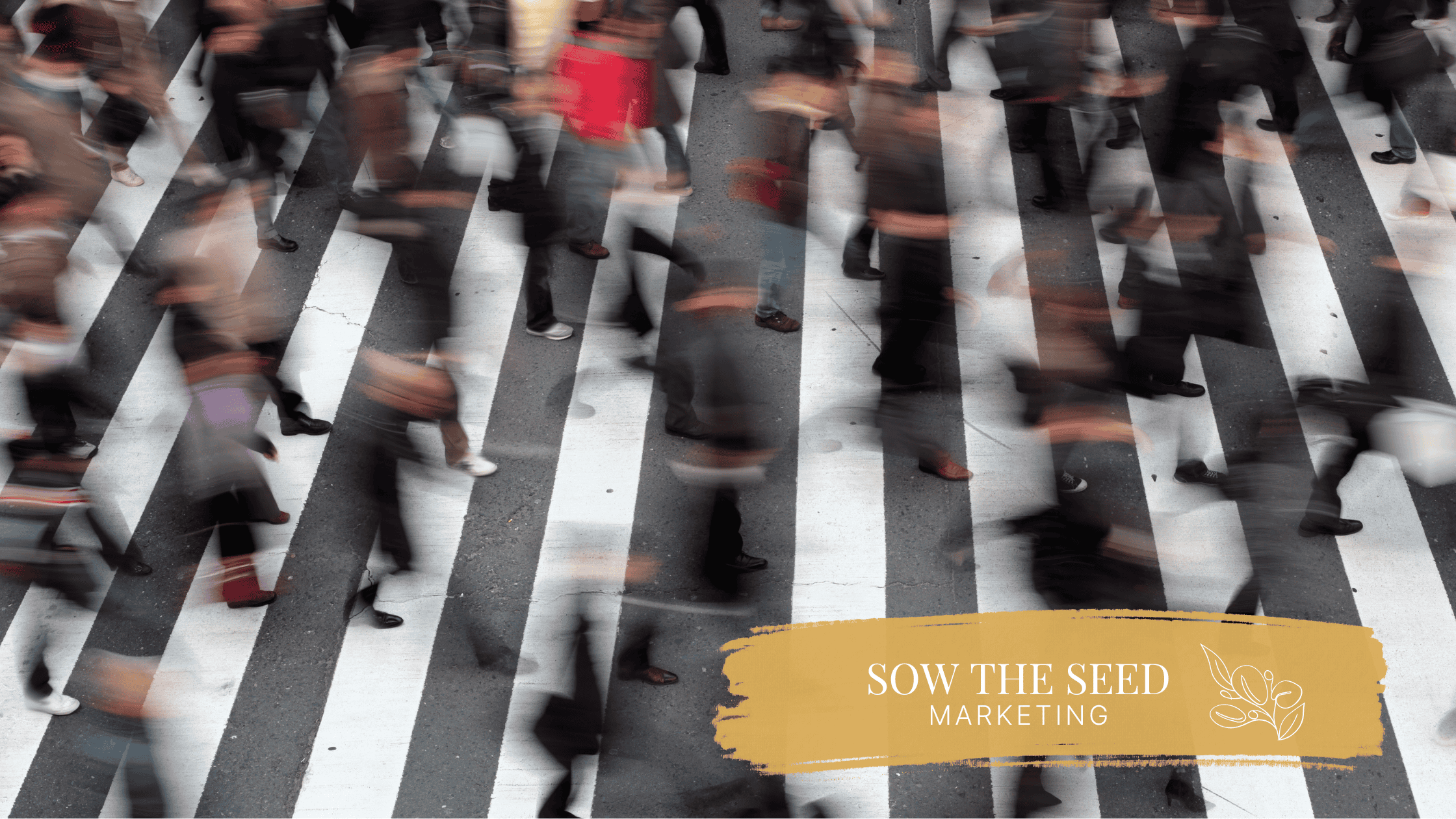 Why More Website Traffic Isn’t Always the Answer