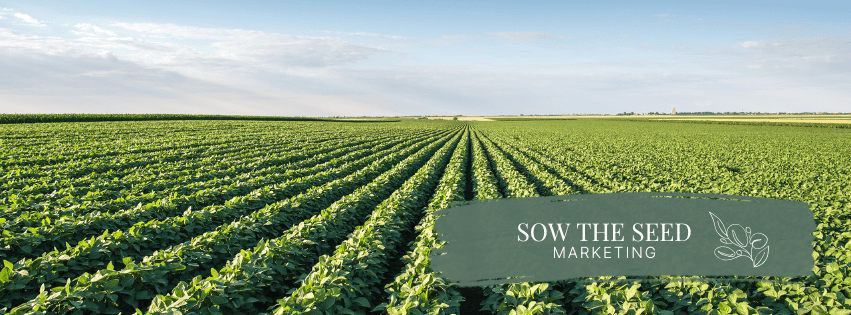 Field of crops under blue sky, digital marketing for horticultural suppliers and plant nurseries
