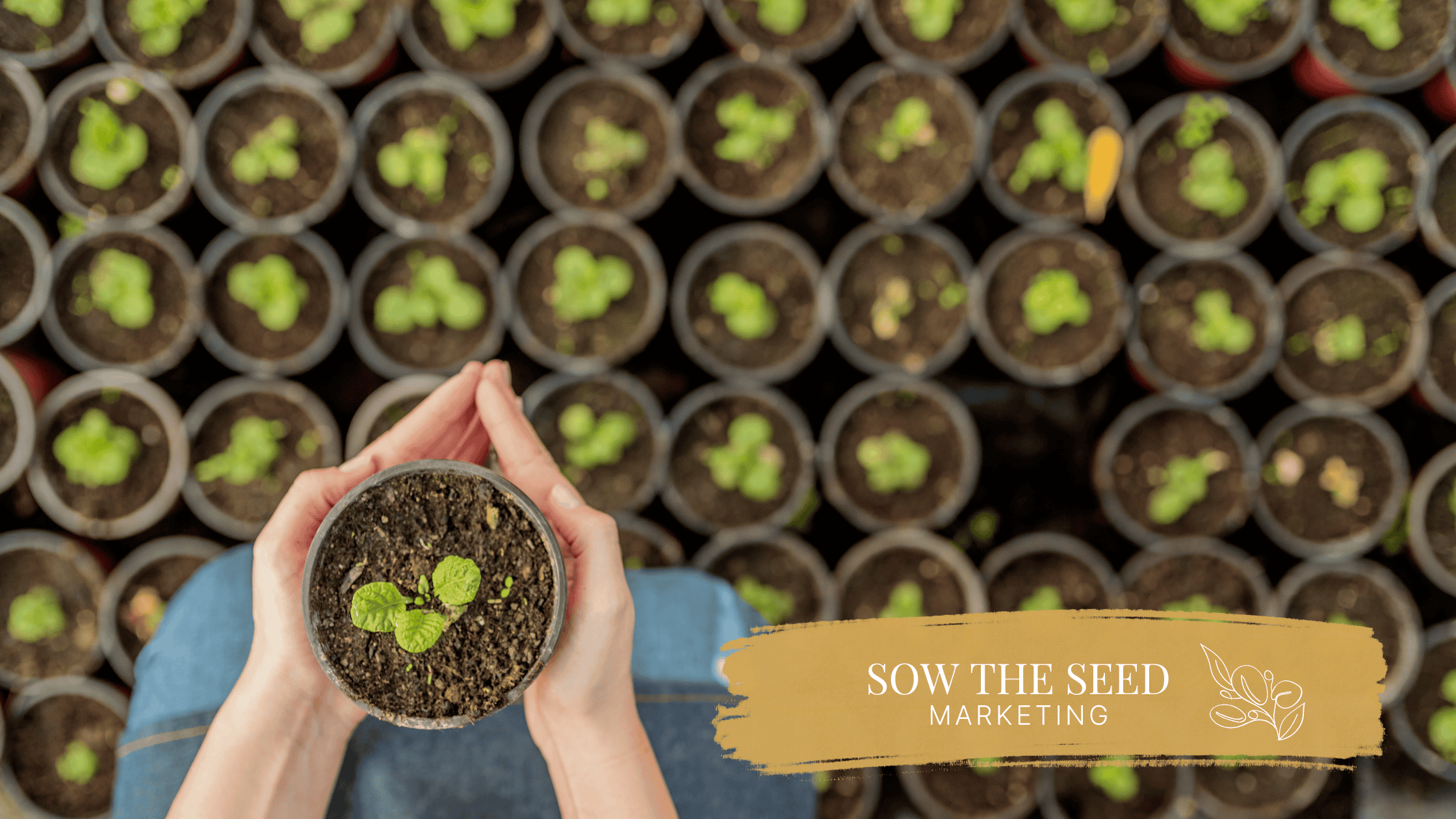 Why Generic Marketing Doesn’t Work for Horticultural Businesses — And What Does