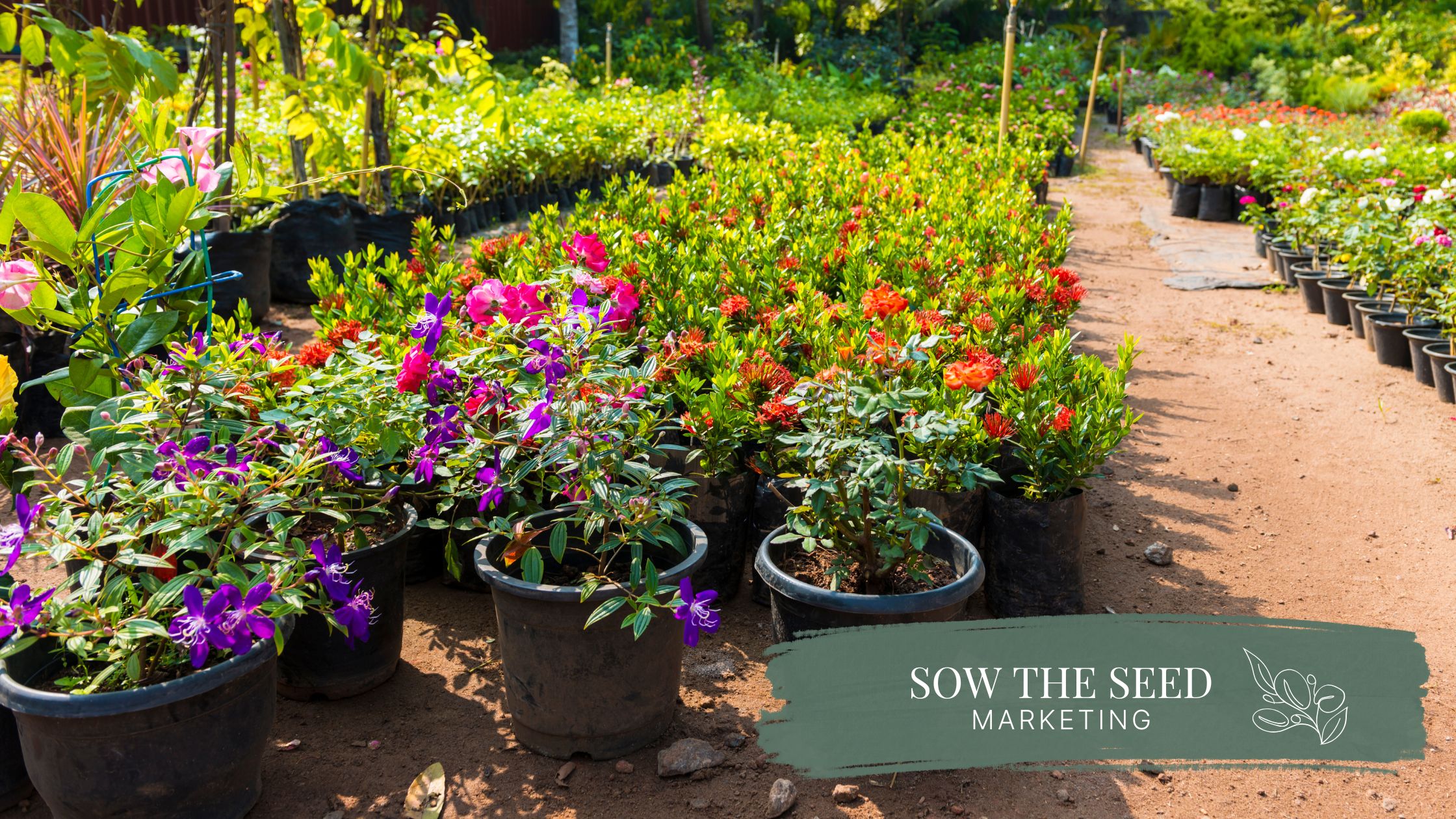 What I Would Do If I Were Marketing a Plant Nursery in 2027